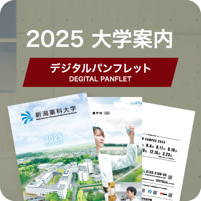 2022 大学案内