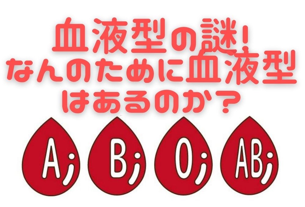 血液型の謎！～なんのために血液型はあるのか？～