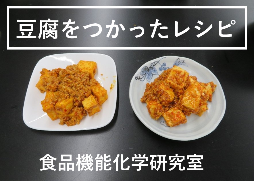 【新潟市からの委託研究】手作り豆腐を使ったレシピつくり