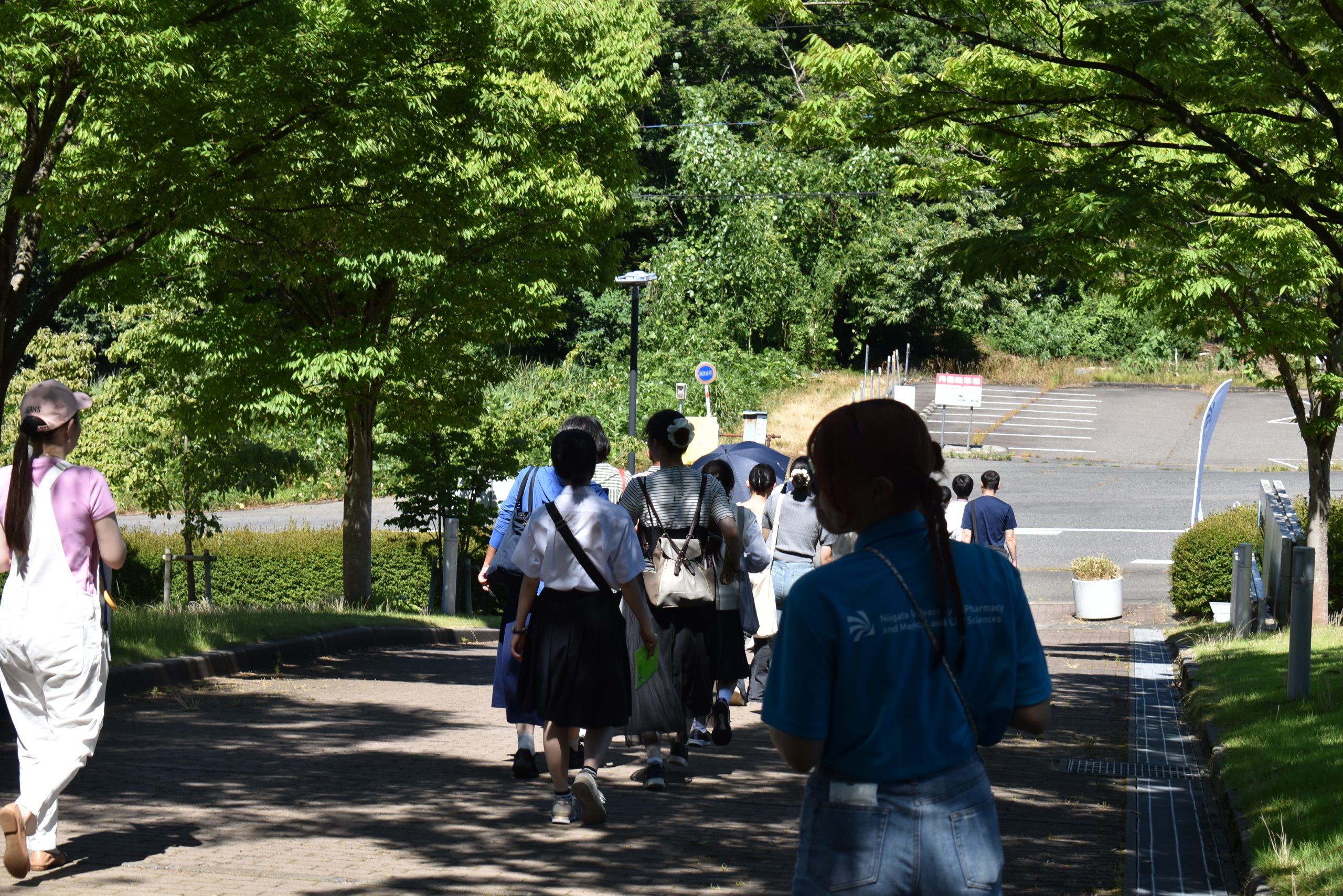 薬草園見学ツアー