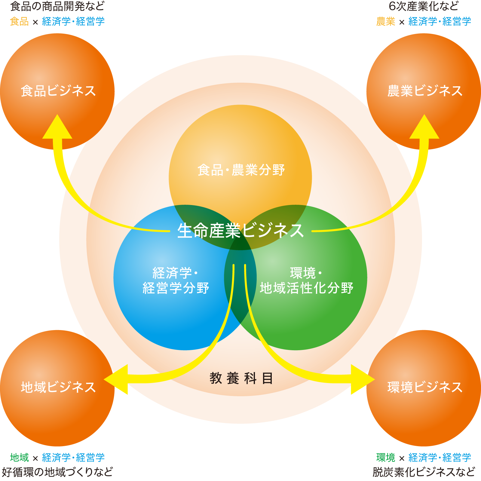 カリキュラム概要