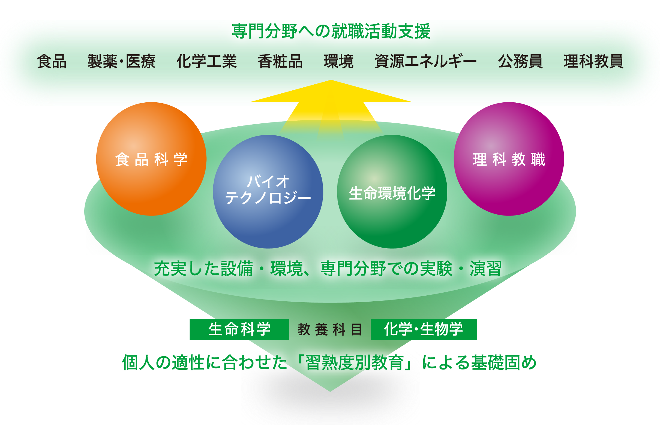 専門分野への就職活動支援