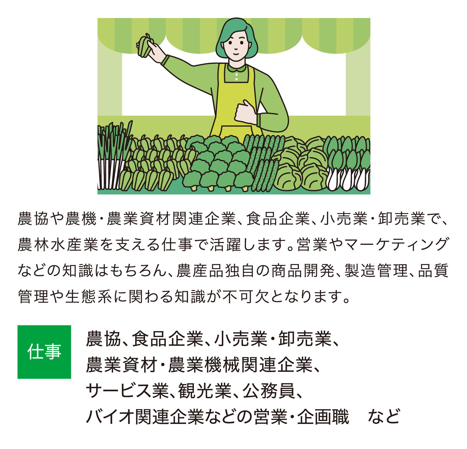 拡大画像