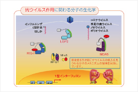 生化学研究室