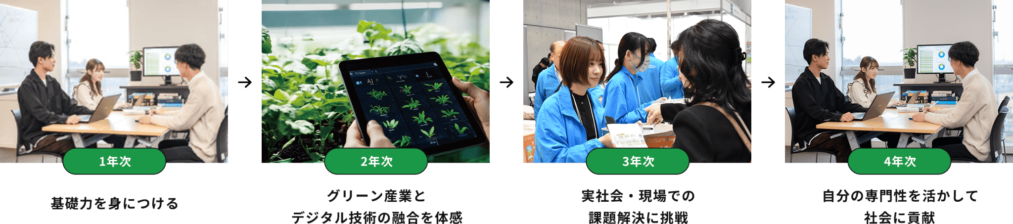 1年次基礎力を身につける,2年次グリーン産業とデジタル技術の融合を体感,3年次実社会・現場での課題解決に挑戦,4年次自分の専門性を活かして社会に貢献
