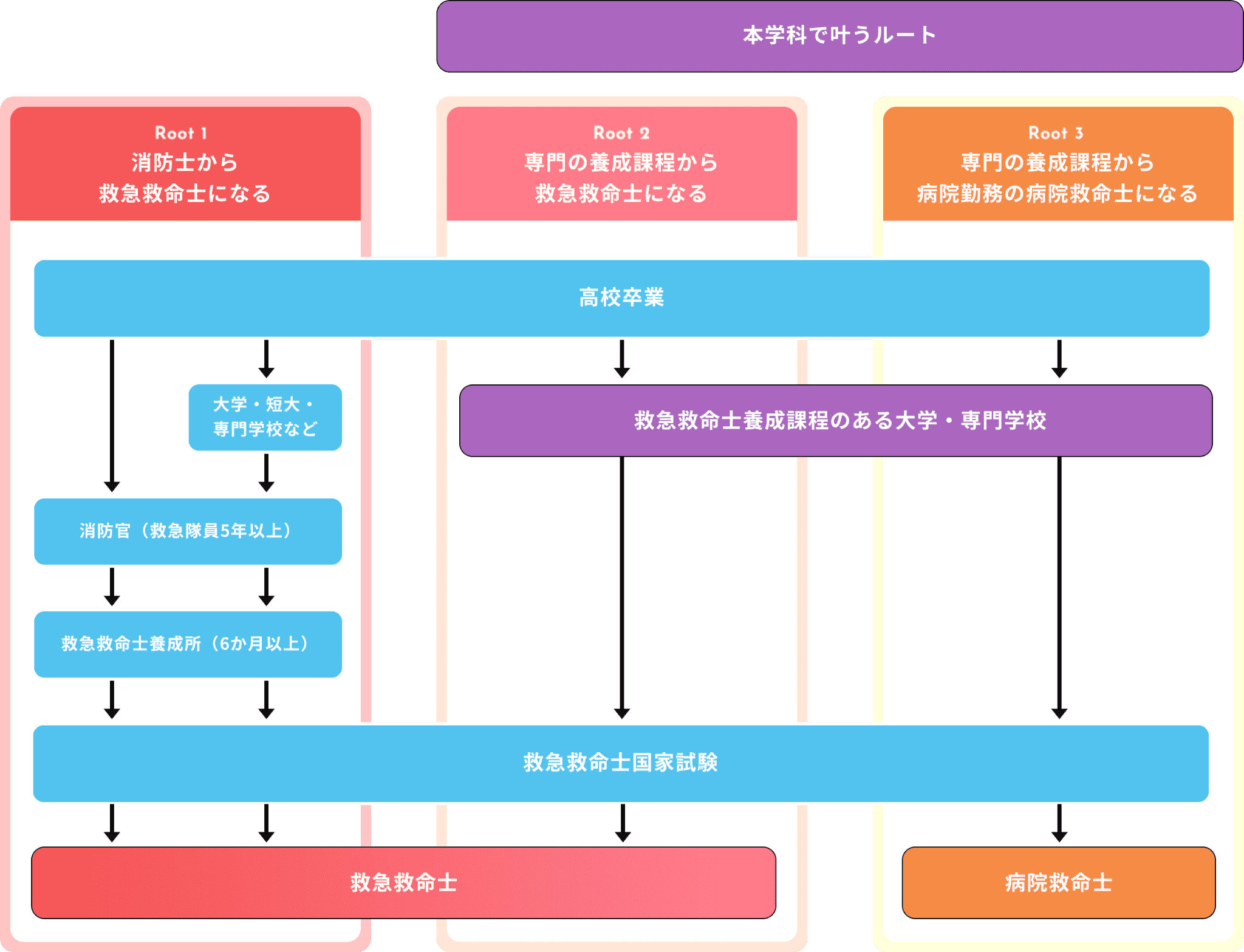 高校卒業後のルート図。本学科では、専門の養成課程から救急救命士、病院救命士になるルートが叶います。