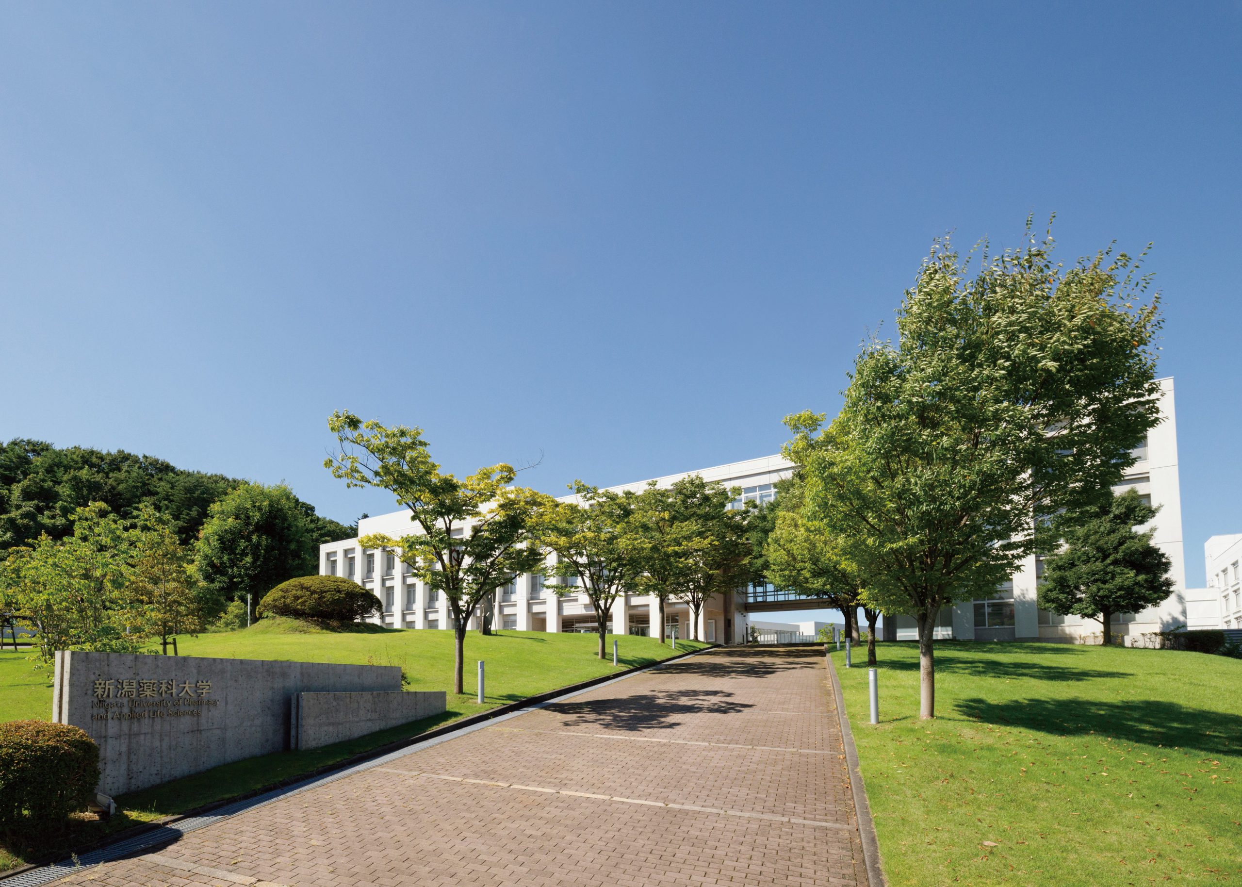 新潟薬科大学