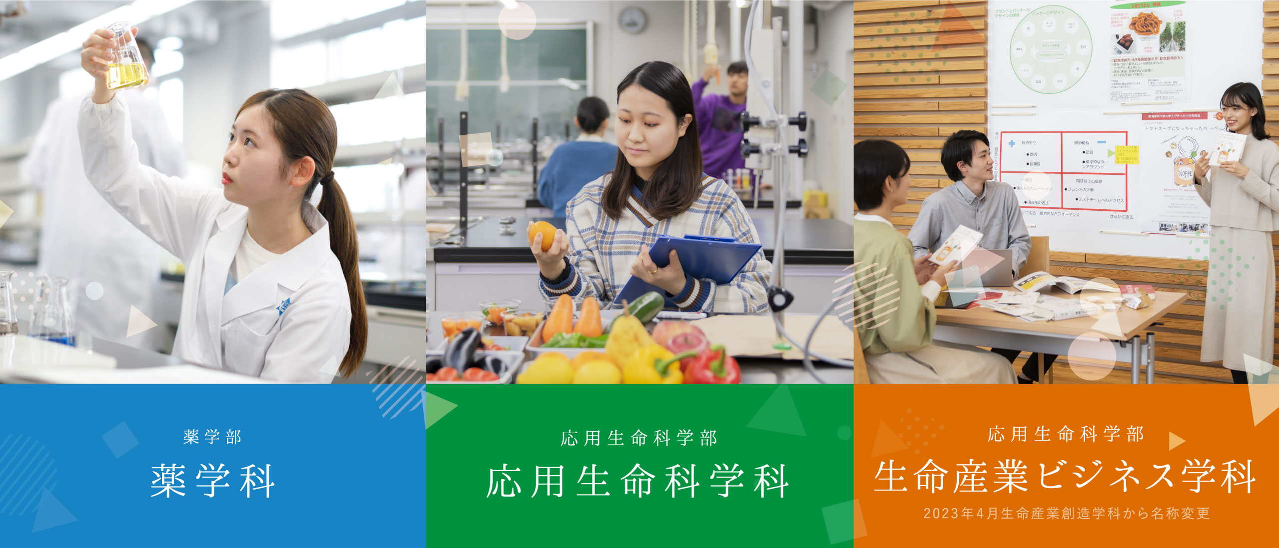 学部情報