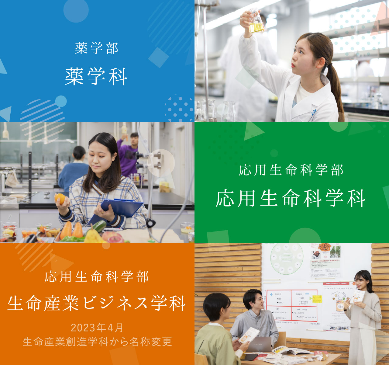 学部情報