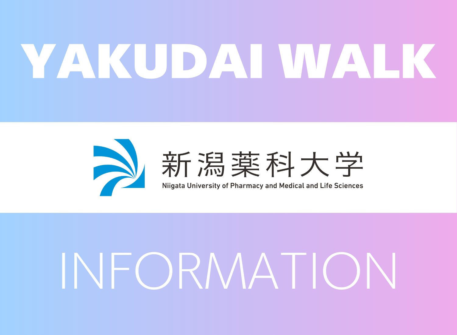 YAKUDAIWALK更新 【先輩に学ぶ】新潟薬科大学の手厚い就職サポート