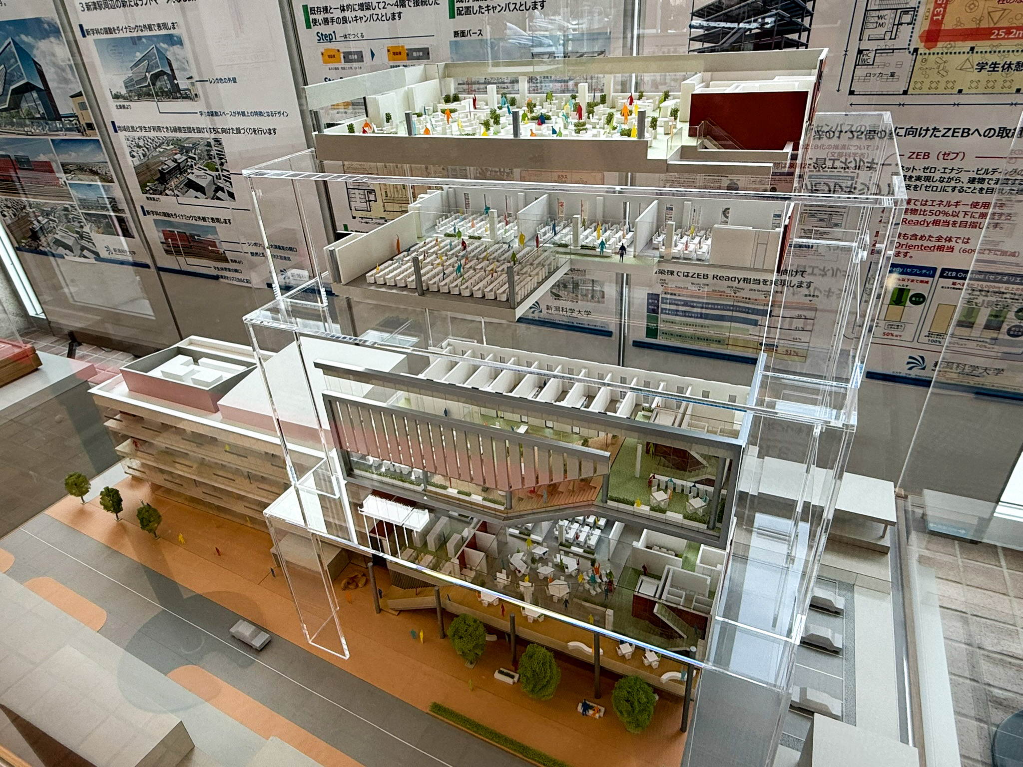 新津キャンパスに「新棟模型展示コーナー」を設置しました